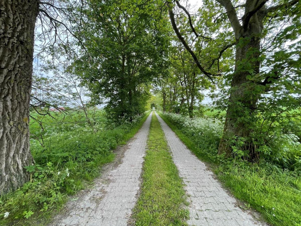 Mooi Stuv , Maisonettenwohnung , Gulfhof , Kachelofen Норден Екстериор снимка